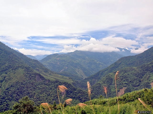 上帝的部落、司馬庫斯