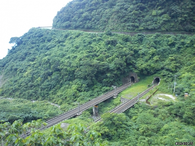 中年狼與地瓜虎雙北加掛花蓮行