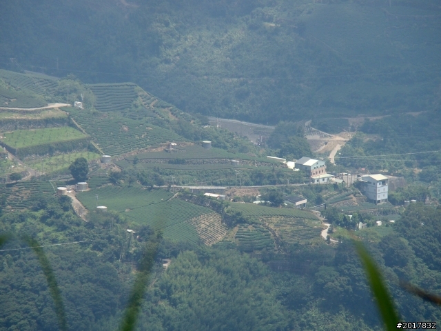 2012-7-3阿里山大凍山行(順遊迷糊步道福山古道)