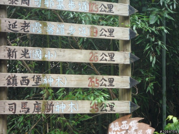 省道一姐司馬冒險,派大欣閃出尿!