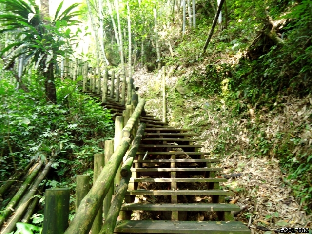 2012-7-3阿里山大凍山行(順遊迷糊步道福山古道)