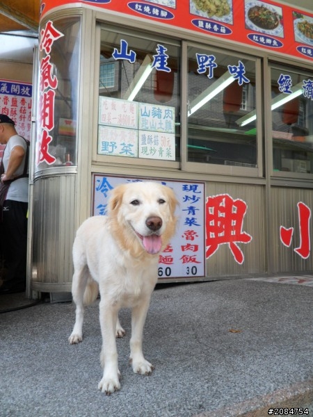 省道一姐司馬冒險,派大欣閃出尿!