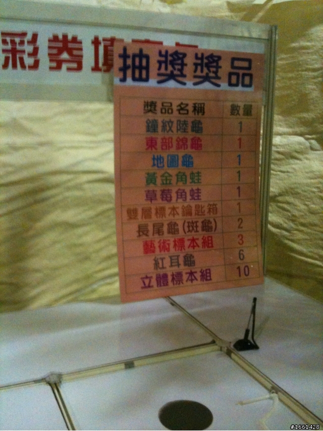 華山文化園區昆蟲博覧會.......《認養甲蟲》.........應台大姊您看看....如此劣質的台灣文化教育