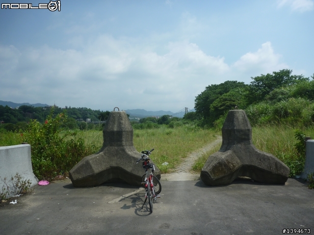 異龍X1: 華江橋-鶯歌-大溪橋