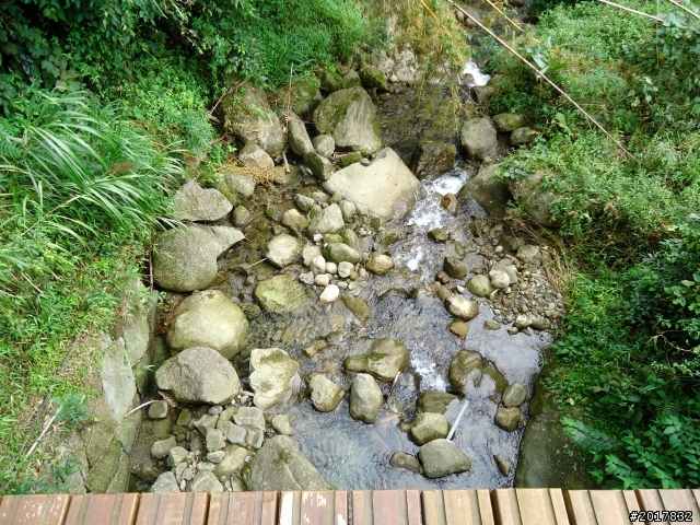 2012-7-3阿里山大凍山行(順遊迷糊步道福山古道)