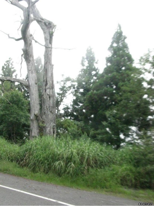 總爬升5371公尺的一日雙北橫太平山來回之旅~
