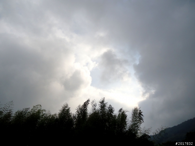2012-7-3阿里山大凍山行(順遊迷糊步道福山古道)