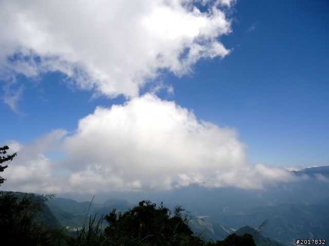 2012-7-3阿里山大凍山行(順遊迷糊步道福山古道)