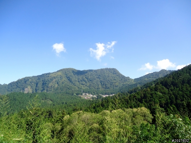 2012-7-3阿里山大凍山行(順遊迷糊步道福山古道)