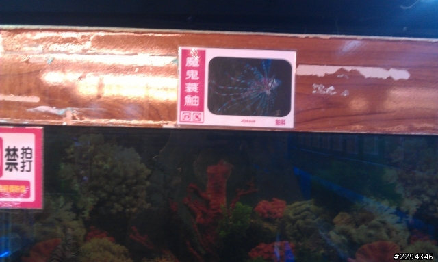 不規劃行程之單人環島! Day2 2012/07/12