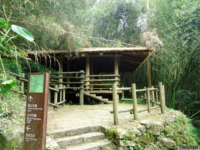 2012-7-3阿里山大凍山行(順遊迷糊步道福山古道)