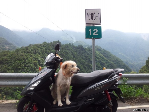 省道一姐司馬冒險,派大欣閃出尿!