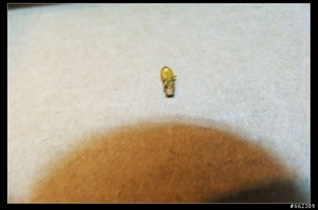 愛買buy的華碩VH238T液晶螢幕開箱~還送7樣小禮物喔!~