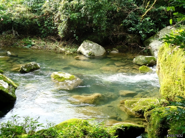 2012-7-3阿里山大凍山行(順遊迷糊步道福山古道)