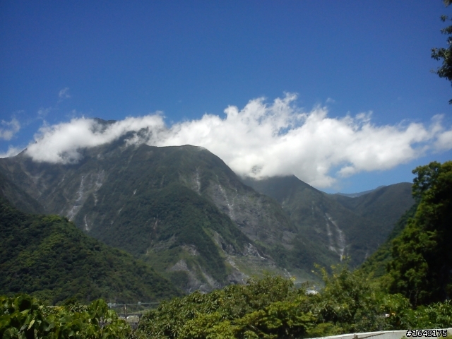 中年狼與地瓜虎雙北加掛花蓮行