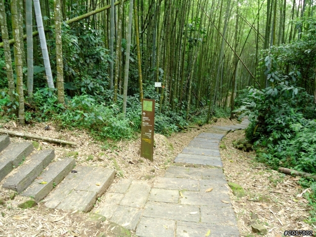 2012-7-3阿里山大凍山行(順遊迷糊步道福山古道)