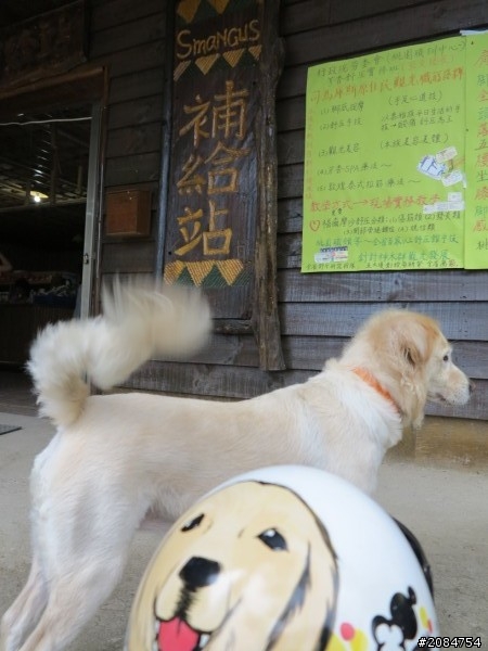省道一姐司馬冒險,派大欣閃出尿!