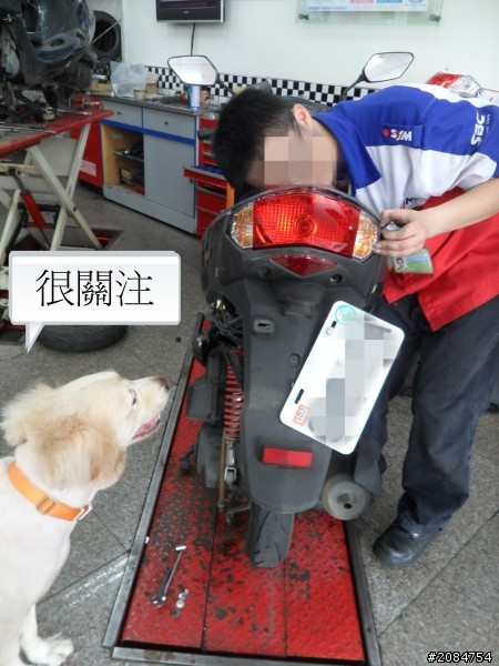省道一姐司馬冒險,派大欣閃出尿!