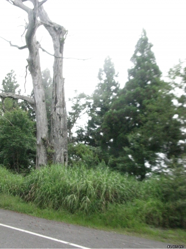 總爬升5371公尺的一日雙北橫太平山來回之旅~