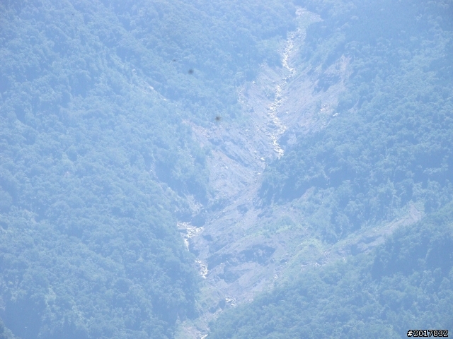2012-7-3阿里山大凍山行(順遊迷糊步道福山古道)