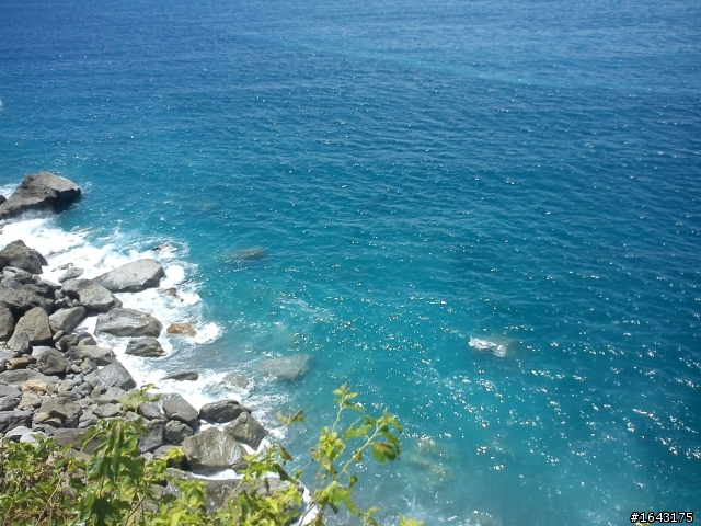 中年狼與地瓜虎雙北加掛花蓮行