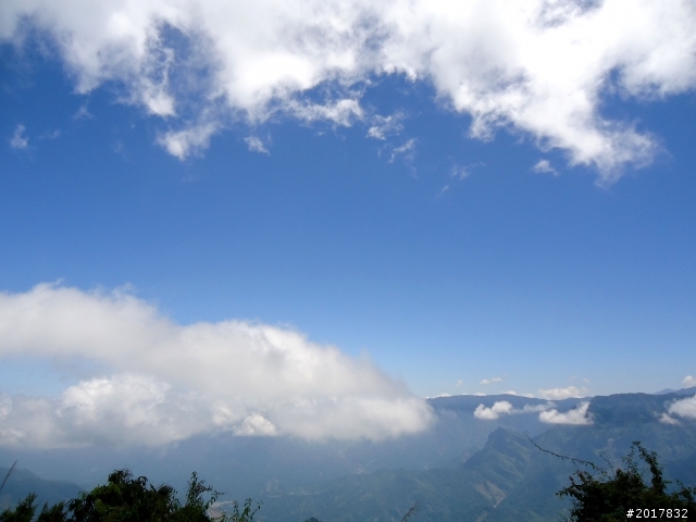 2012-7-3阿里山大凍山行(順遊迷糊步道福山古道)