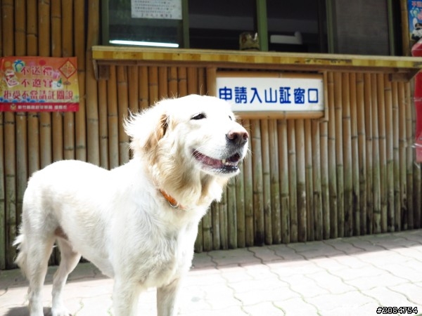 省道一姐司馬冒險,派大欣閃出尿!