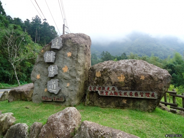 2012-7-3阿里山大凍山行(順遊迷糊步道福山古道)