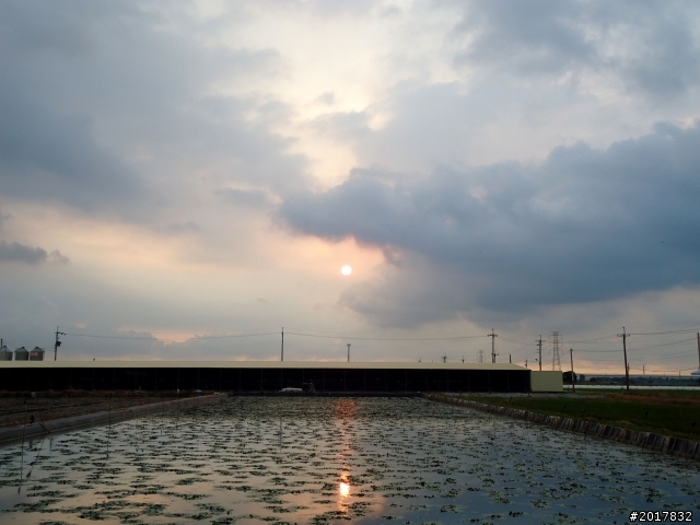 2012-7-3阿里山大凍山行(順遊迷糊步道福山古道)