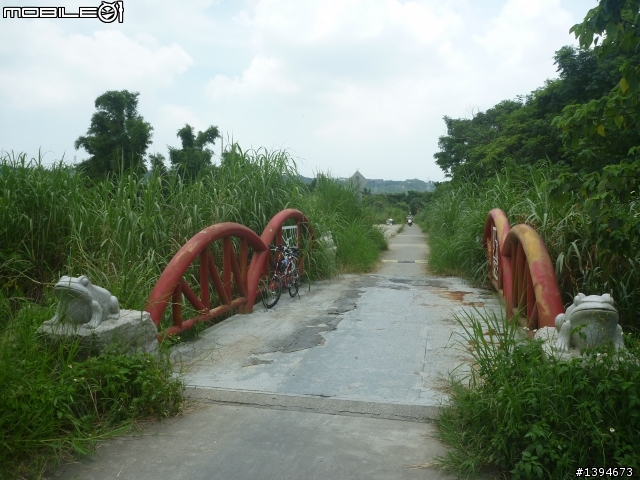 異龍X1: 華江橋-鶯歌-大溪橋