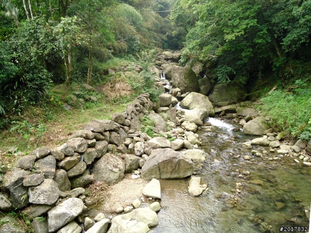 2012-7-3阿里山大凍山行(順遊迷糊步道福山古道)