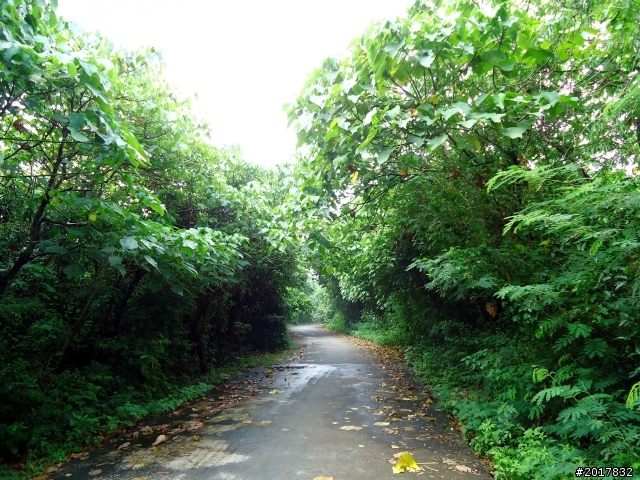 2012-7-15天神遺落在凡間 的一顆珍珠小琉球之旅