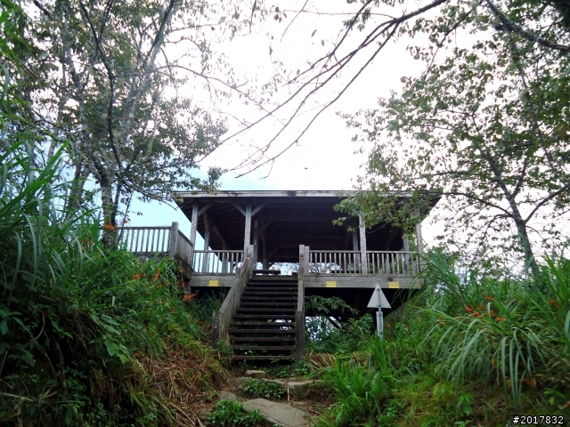 2012-7-3阿里山大凍山行(順遊迷糊步道福山古道)