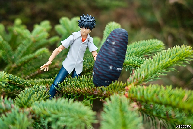 DP2 南湖大山行