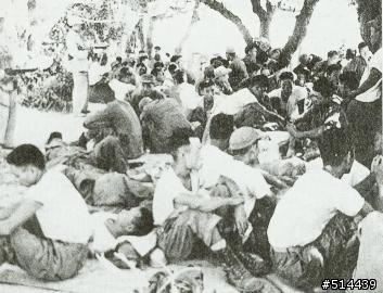 1953年7月16日 東山島 中華民國陸軍傘兵作戰史