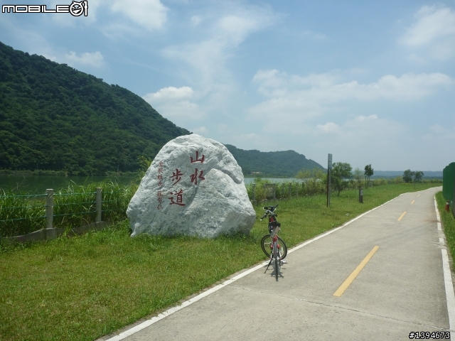 異龍X1: 華江橋-鶯歌-大溪橋