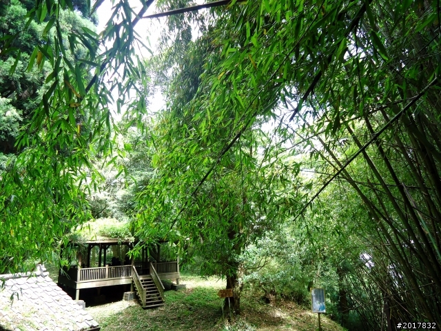 2012-7-3阿里山大凍山行(順遊迷糊步道福山古道)