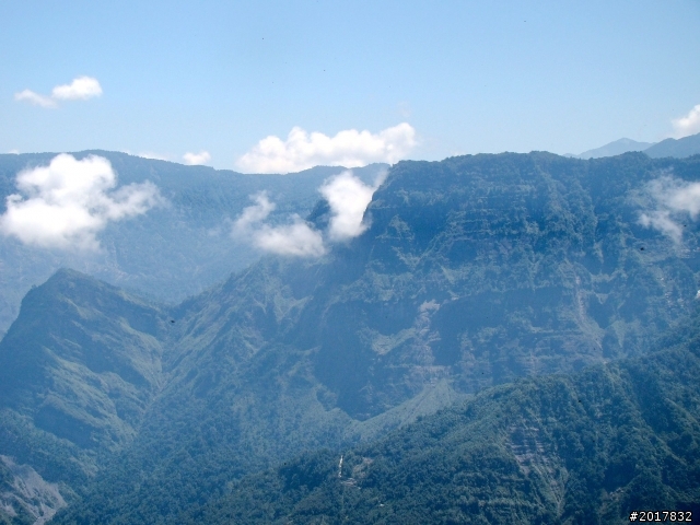 2012-7-3阿里山大凍山行(順遊迷糊步道福山古道)