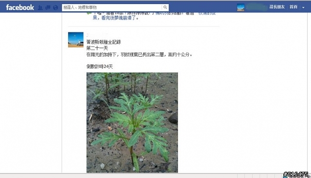 風和日麗 . 新屋開箱