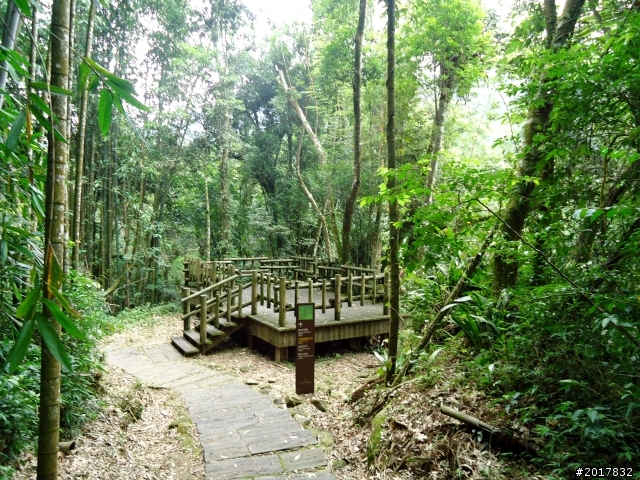 2012-7-3阿里山大凍山行(順遊迷糊步道福山古道)