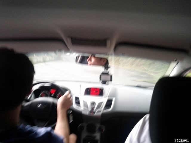 Ford Fiesta 免費開回家-忘憂森林