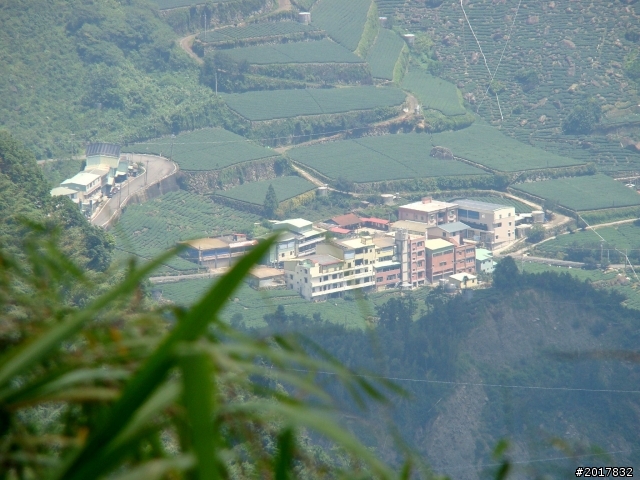 2012-7-3阿里山大凍山行(順遊迷糊步道福山古道)