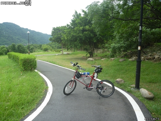 異龍X1: 華江橋-鶯歌-大溪橋