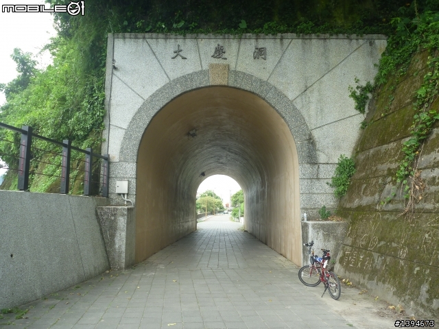 異龍X1: 華江橋-鶯歌-大溪橋