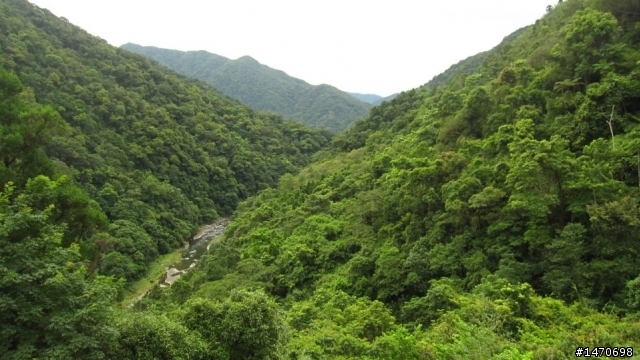 福斯商旅Caddy Van單車支援活動 - 烏來桶后糜爛一日遊