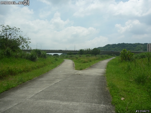 異龍X1: 華江橋-鶯歌-大溪橋