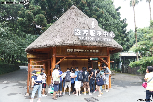 頂上決戰重現九族文化村!第二波航海王樂園正式啟航
