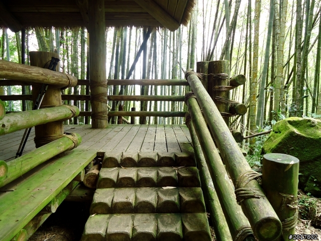 2012-7-3阿里山大凍山行(順遊迷糊步道福山古道)