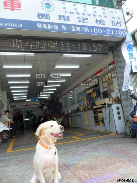 省道一姐司馬冒險,派大欣閃出尿!