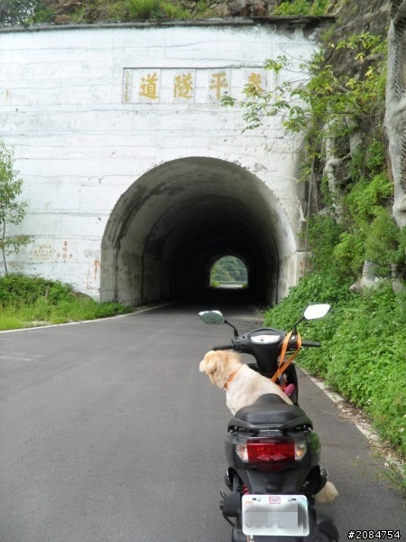 省道一姐司馬冒險,派大欣閃出尿!